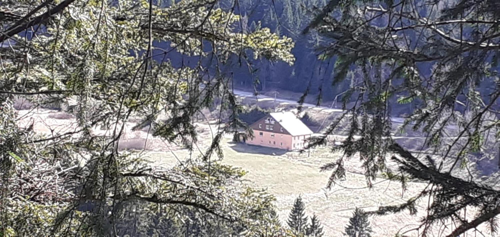 Domaine Des Hauts Viaux لابْريسْ المظهر الخارجي الصورة