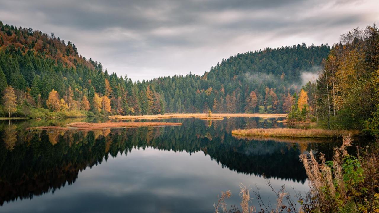 Domaine Des Hauts Viaux لابْريسْ المظهر الخارجي الصورة