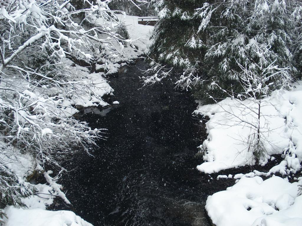 Domaine Des Hauts Viaux لابْريسْ المظهر الخارجي الصورة