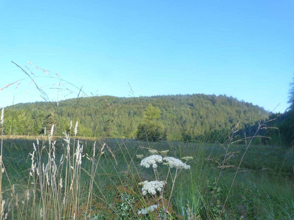 Domaine Des Hauts Viaux لابْريسْ المظهر الخارجي الصورة
